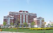 天津外国语大学滨海外事学院有哪些理科冷门专业？