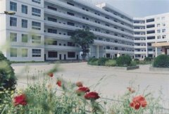 四川农业大学有哪些一本理科专业？