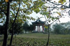 南京农业大学有哪些一本理科专业？