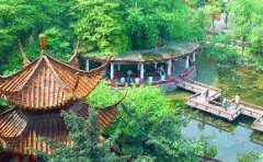 西华大学有哪些一本理科专业？