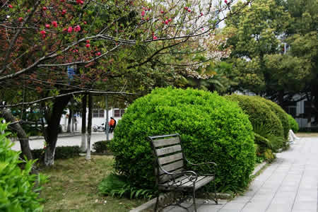 安徽师范大学校园图片_大学图片5