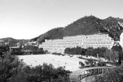 延安大学有哪些一本理科专业？