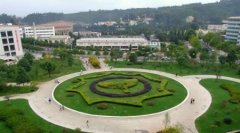 西南林业大学有哪些一本文科专业？