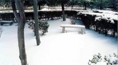 郑州航空工业管理学院有哪些二本文科专业？