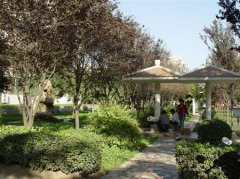 洛阳师范学院有哪些三本理科专业？