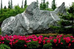 山东科技大学有哪些一本理科专业？