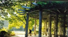 北京服装学院有哪些二本文科专业？