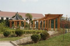 填报问题:上海建峰职业学院是公办还是民办专科？