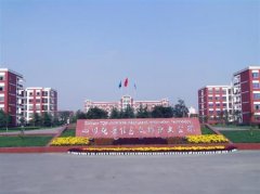 填报问题:四川托普信息技术职业学院是公办还是民办大专？