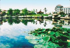 西安思源学院有哪些二本文科专业？