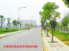 志愿填报:江西现代职业学院是公办还是民办大专？