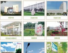 山西中医学院有哪些二本理科专业？