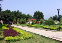 填报问题:陕西青年职业学院是公办还是民办专科？