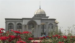 填报问题:武汉商贸职业学院是公办还是民办专科？