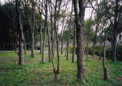 填报问题:武威职业学院是公办还是民办专科？