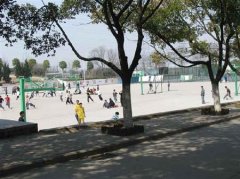 志愿填报:安徽警官职业学院是公办还是民办专科？