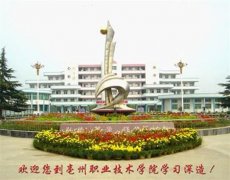 填报问题:合肥共达职业学院是公办还是民办专科？