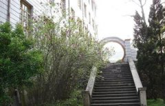 填报问题:闽北职业学院是公办还是民办大专？