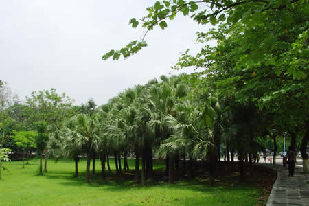 华南师范大学校园图片_大学图片10