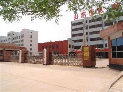 填报问题:山东信息职业学院是公办还是民办专科？