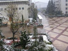 志愿填报:云南体育运动职业学院是公办还是民办专科？