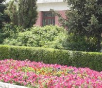 填报问题:黑龙江幼儿师范高专是公办还是民办高职？