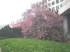 填报问题:陕西财经职业学院是公办还是民办专科？