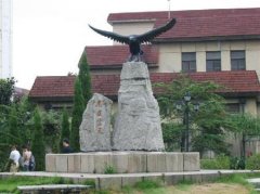 填报问题:安康职业学院是公办还是民办高职？