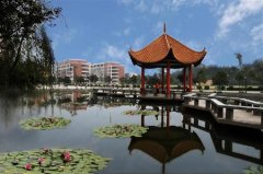 成都学院有哪些二本理科专业？