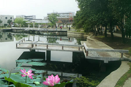 安徽农业大学校园图片_大学图片11