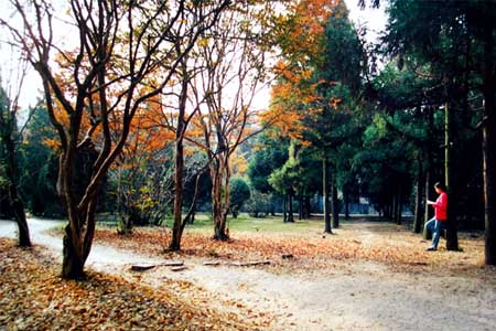 安徽农业大学校园图片_大学图片12